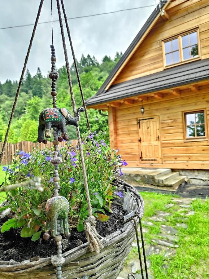 Fajna Chatka Ustrzyki Dolne Bagian luar foto